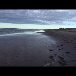 Meet your Posher, Gabriel